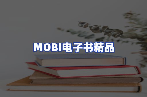 外文电子书产品